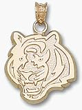 Cincinnati Bengals