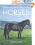 Drawing and Painting Horses
