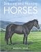 Drawing and Painting Horses