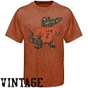Florida Gators Orange Big Al Vintage T-shirt