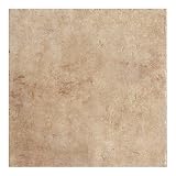 Walnut Canyon 20 x 20 Field Tile in Golden