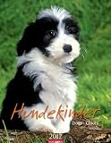 Produkt-Bild: Hundekinder 2012/ Puppies 2012 / Chiots 2012