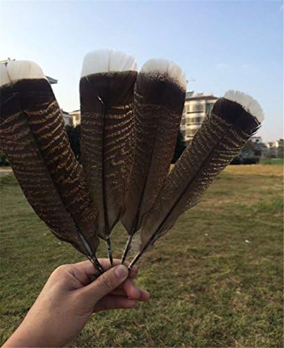 fashion 20pcs precious wild turkey tail feathers 10-12inches / 25-30cm
