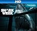 Jaws Comes Home [HD]