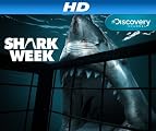 Shark Week [HD]: Shark City [HD]