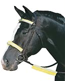 WEATHERBEETA USA - Roma Reflect Bridle Kit