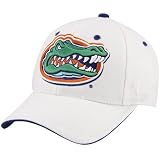 Zephyr Florida Gators Triple White Fitted Hat