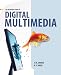 An Introduction to Digital Multimedia