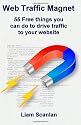 Web Traffic Magnet: 55 Free Things You Can Do to Drive Traffic to Your Website