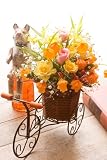 �ڥ�������������̵�������ӥ��ˡ�������ã���ֲ����󡡽������ˤ�����ɤ�롪����󥸥��顼�Τ��礦���󷿤Τ��֤򥵥����륿���פΤ������ʤ����˥���󥸤��ޤ�����������̵���ۥ���󥸥�������ʥ���������˥�����󥸥��ȡ� [¨��ȯ����������ã]�� ����������ǰ�������ˤ����뺧�ˤ��������񤤡������޲񡦷뺧�ˤ�����β֤���ã��