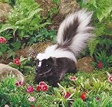 Folkmanis Puppet Skunk