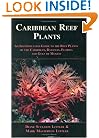 Caribbean Reef Plants