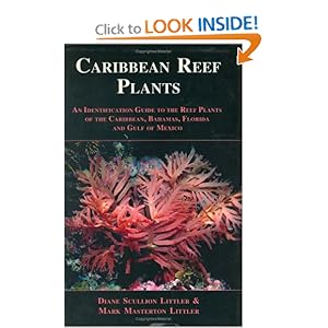 Caribbean Reef Plants [Hardcover]