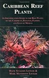 Caribbean Reef Plants