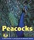 Peacocks (Early Bird Nature Books)