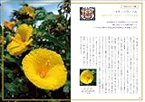 Hawaii de 花散歩-