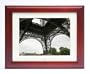 Invion DPF-10P106-IUS 10.4-Inch WideScreen Digital Photo Picture Frame
