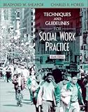 Techniques and Guidelines for Social Work Practice (6th Edition)