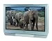 Toshiba 34HF84 34" TheaterWide HD-Ready Flat-Screen TV
