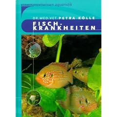 Fischkrankheiten: Gesunde Fische im S��wasseraquarium. Symptome richtig deuten und Ursachen erkennen, h�ufig auftretende Zierfischkrankheiten, Diagnosefindung, Therapiem�glichkeiten