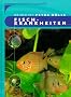 Fischkrankheiten: Gesunde Fische im S��wasseraquarium. Symptome richtig deuten und Ursachen erkennen, h�ufig auftretende Zierfischkrankheiten, Diagnosefindung, Therapiem�glichkeiten
