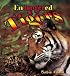 Endangered Tigers (Earth's Endangered Animals)