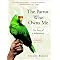 Become a pet bird owner