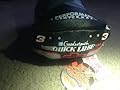 Dale Earnhardt Red Liner Bean Bag Race Car - Rare!