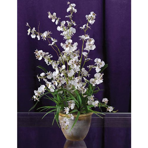 Dancing Lady Silk Orchid Arrangement