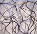 Books : Brice Marden: Cold Mountain (Menil Collection)