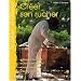Cr�er son rucher