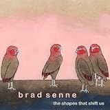 Brad Senne - The Shapes That Shift Us ( Audio CD ) - B001GQXWF2