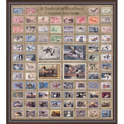 Duck Stamp Accent
