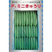 F1ミニきゅうり　数量:1.2ml