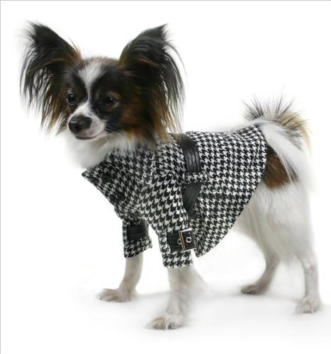 Trendy Lady Dog Coat w/ Belt by Theo - SM (11"-13.5" girth, 8"-10" length)