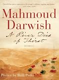 River Dies of Thirst: A Diary