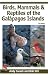 Books : Birds, Mammals, And Reptiles of the Galapagos Islands