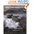 Developing Vision and Style: A Masterclass in Landscape Photography (Light and Land) (Light & Land)