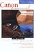 Lost and Found (Cañon Journal, Vol 2/2)