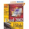 Microsoft Excel 2002 Bible
