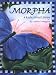 Morpha: A Rain Forest Story (Wilderness Kids)