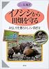 イノシシから田畑を守る―おもしろ生態とかしこい防ぎ方