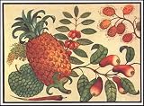 Pineapple -- Print