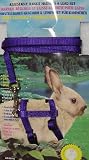 Deluxe Rabbit Harness Purple