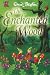 The Enchanted Wood