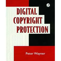 Digital Copyright Protection: Techniques to Ward Off Electronic Copyright Abuse