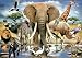 Spielwaren : Die Tiere Afrikas, 1000 Teile