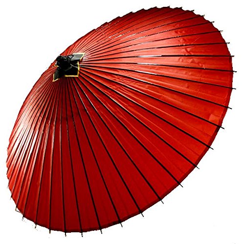 はんなり蛇の目傘 和傘 番傘 赤