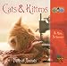 Search : Our World's Sounds: Cats & Kittens
