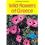 Wild Flowers of Greece